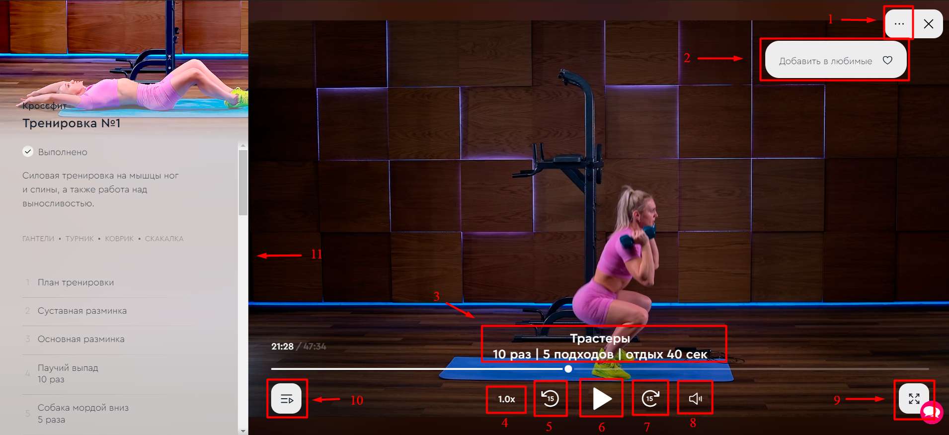 Как выглядит интерфейс видео тренировки?